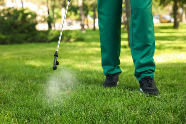 Best Pest Removal Services  in Valle Vista, CA