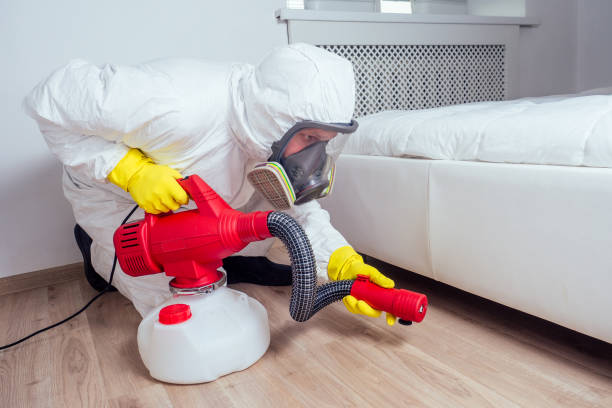 Best Affordable Pest Control Services  in Valle Vista, CA