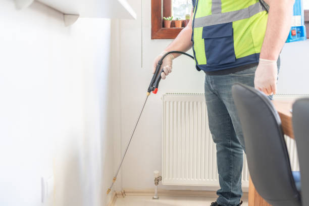 Wasp Removal Services in Valle Vista, CA